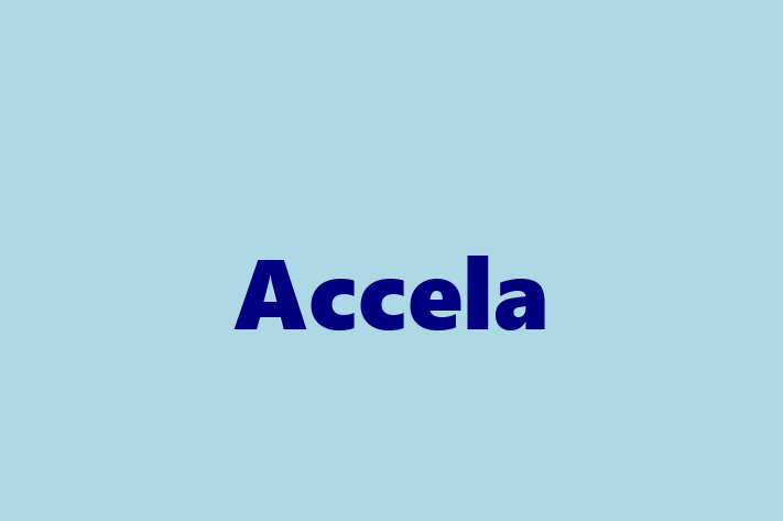 Software Development Company Accela