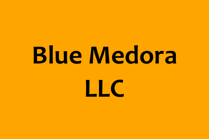 Software Engineering Company Blue Medora LLC