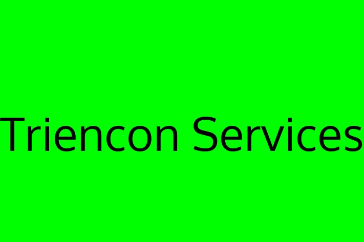 Software Consultancy Triencon Services