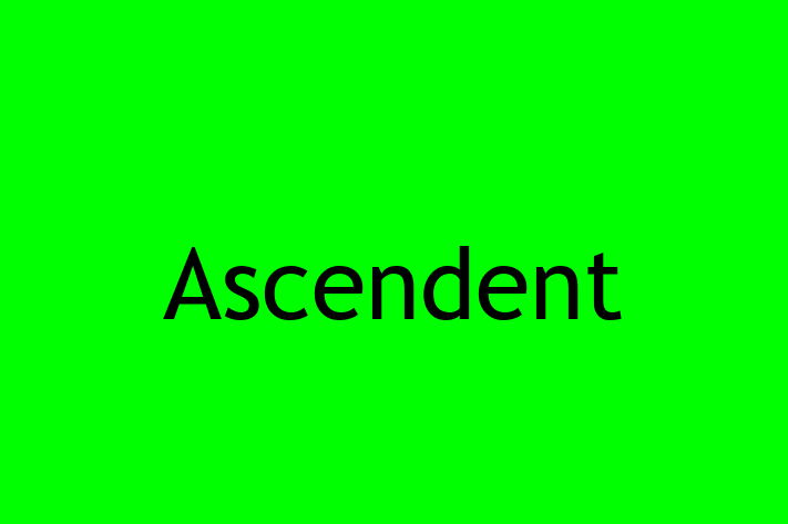 Technology Company Ascendent