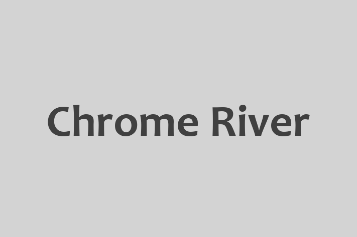 Software Services Company Chrome River