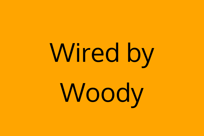 Electrical installers Wired by Woody