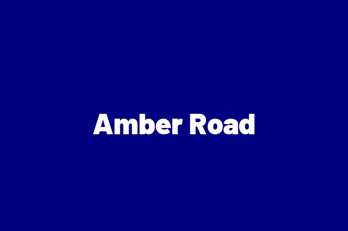 Software Development Company Amber Road