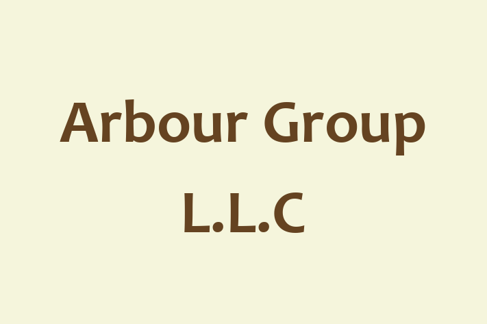 Technology Solutions Firm Arbour Group L.L.C