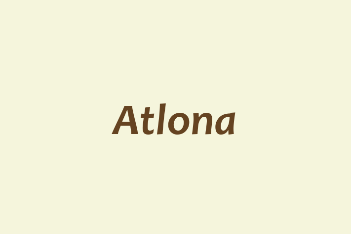 Human Capital Management Atlona