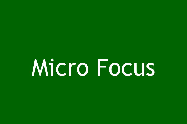 Software Consultancy Micro Focus