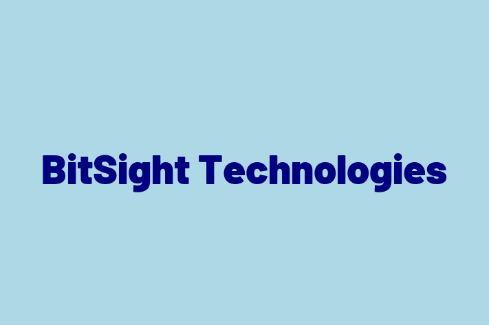 IT Company BitSight Technologies