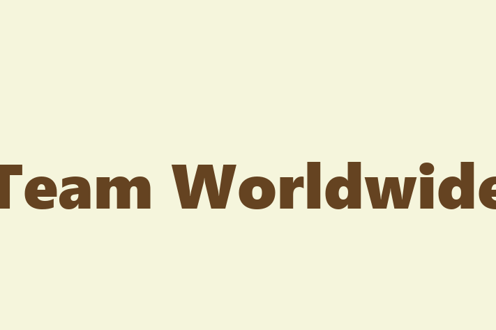 Software Consultancy Team Worldwide