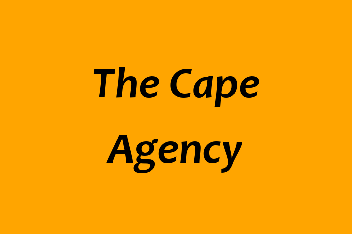 Employee Resource Management The Cape Agency