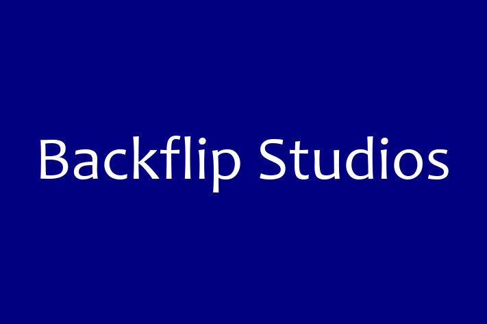 Software Development Company Backflip Studios