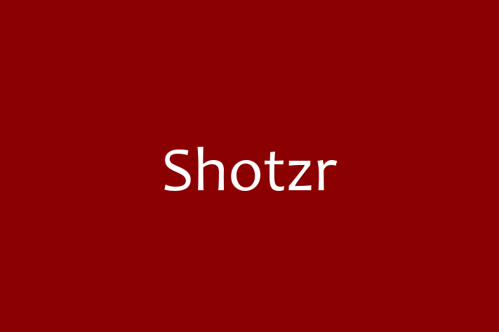 Software Services Company Shotzr