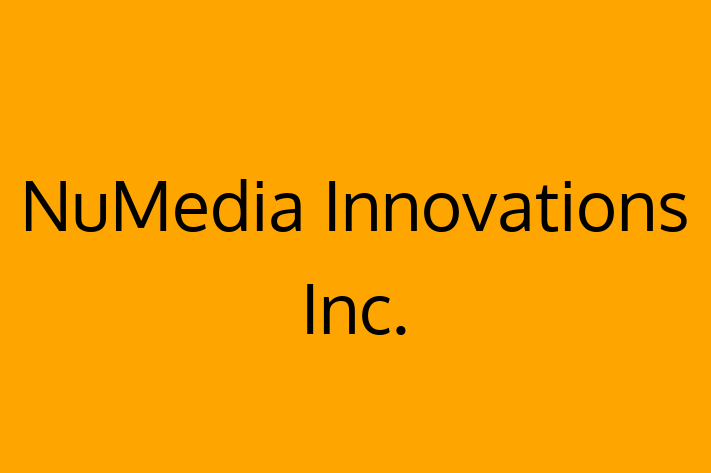 IT Company NuMedia Innovations Inc.