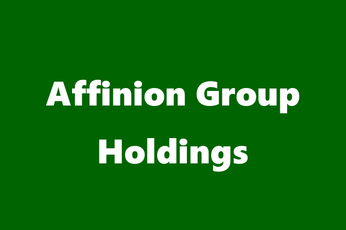 Technology Solutions Firm Affinion Group Holdings