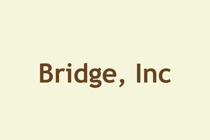 People Management Bridge Inc