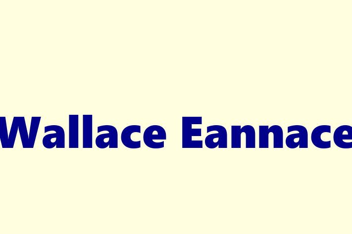 Labor Relations Wallace Eannace