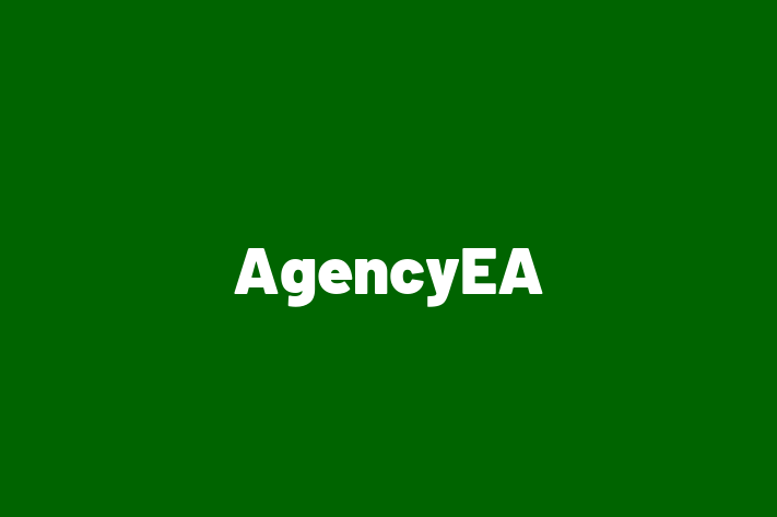 IT Company AgencyEA