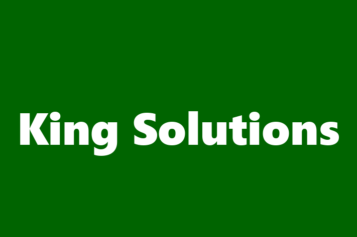 Software Consultancy King Solutions