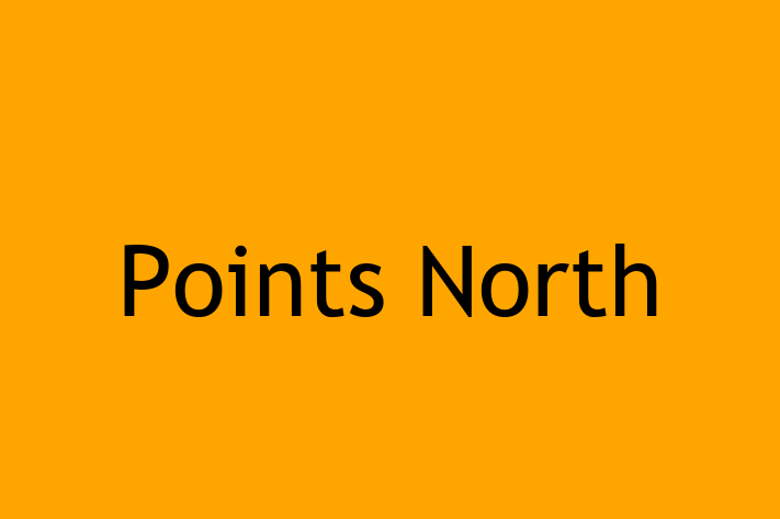 Software Consultancy Points North