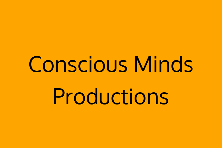 Technology Solutions Firm Conscious Minds Productions