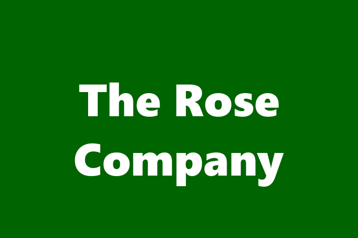 IT Company The Rose Company