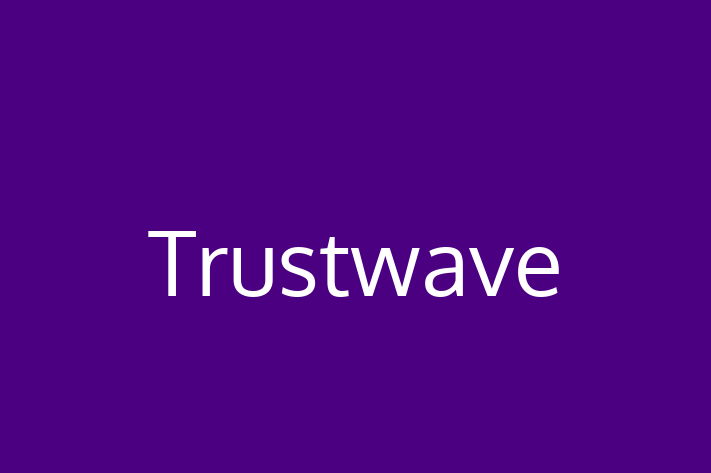 Software Solutions Provider Trustwave