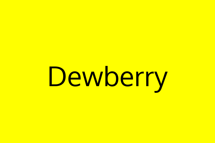 Software Engineering Company Dewberry