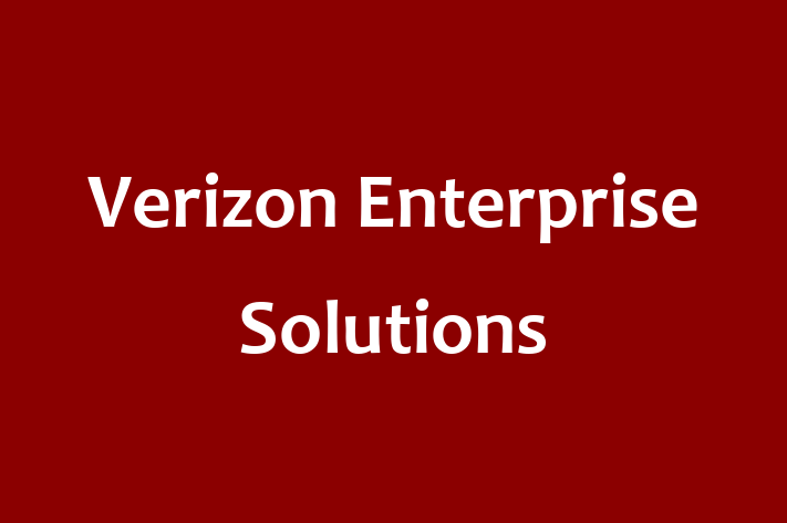 Tech Solutions Company Verizon Enterprise Solutions