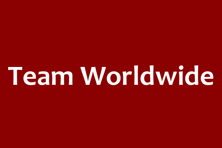 Software Development Company Team Worldwide