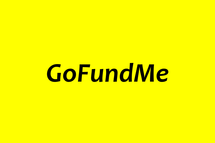 IT Company GoFundMe