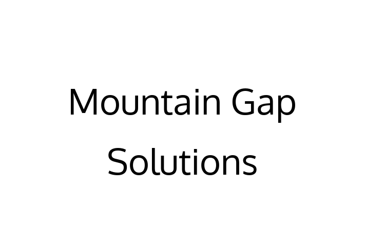 Technology Solutions Firm Mountain Gap Solutions