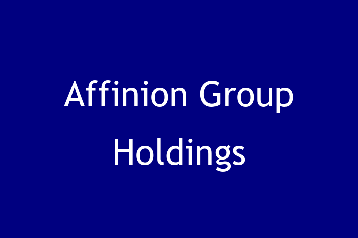 Software Consultancy Affinion Group Holdings