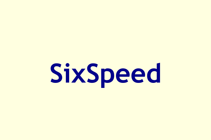 Software Services Company SixSpeed