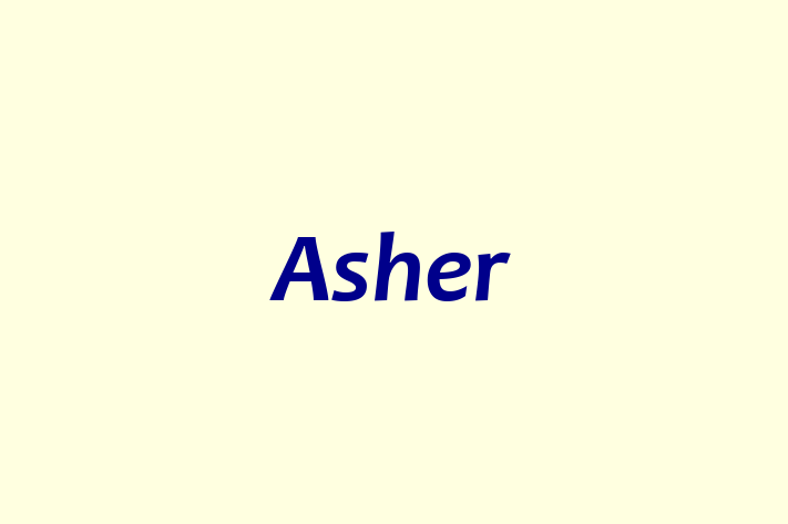 Software Firm Asher