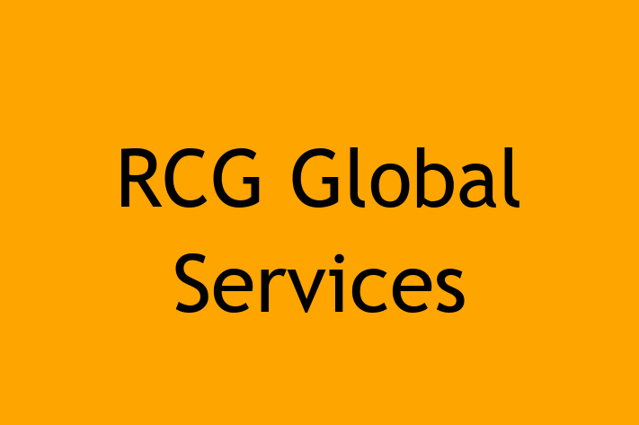 Software Engineering Company RCG Global Services