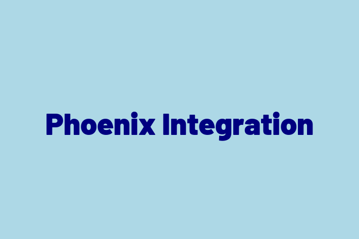 Tech Solutions Company Phoenix Integration