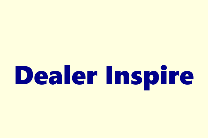 Technology Solutions Firm Dealer Inspire