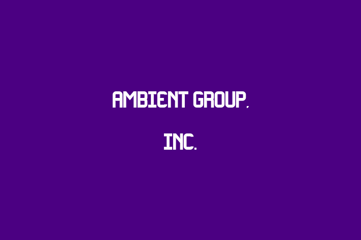 Software Firm Ambient Group Inc.