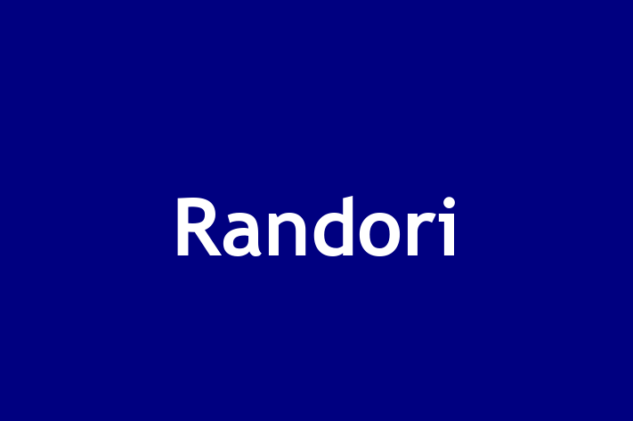 Application Development Company Randori