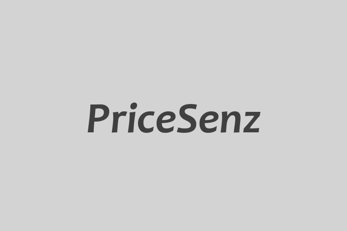 Software Engineering Company PriceSenz