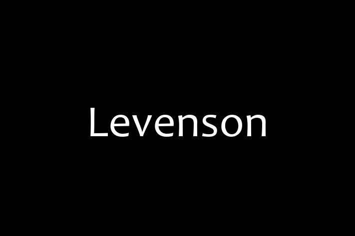 Software Firm Levenson