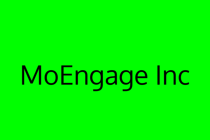 Tech Solutions Company MoEngage Inc