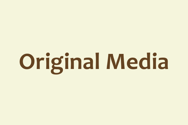 Technology Company Original Media