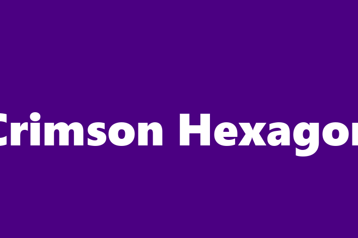 Software Development Company Crimson Hexagon