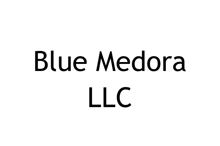 Software Firm Blue Medora LLC