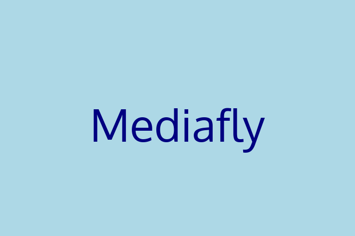 Technology Solutions Firm Mediafly