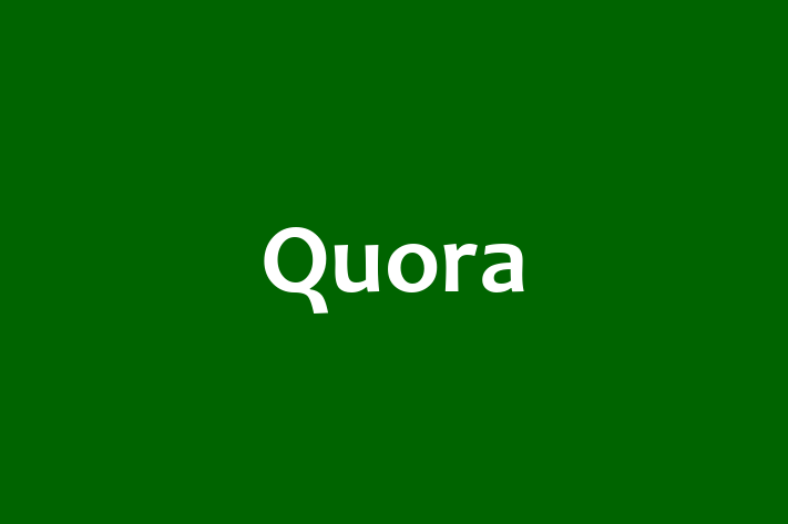 Technology Company Quora