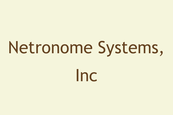 Software Development Company Netronome Systems Inc