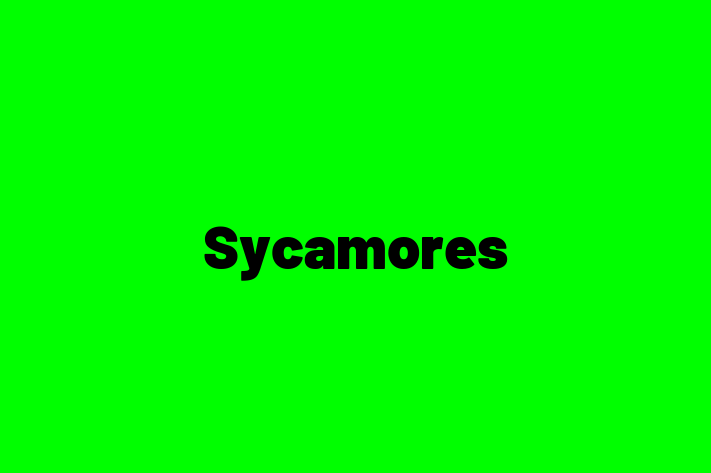 Employee Resource Management Sycamores