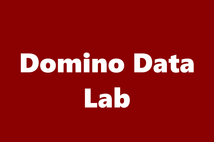 Tech Firm Domino Data Lab