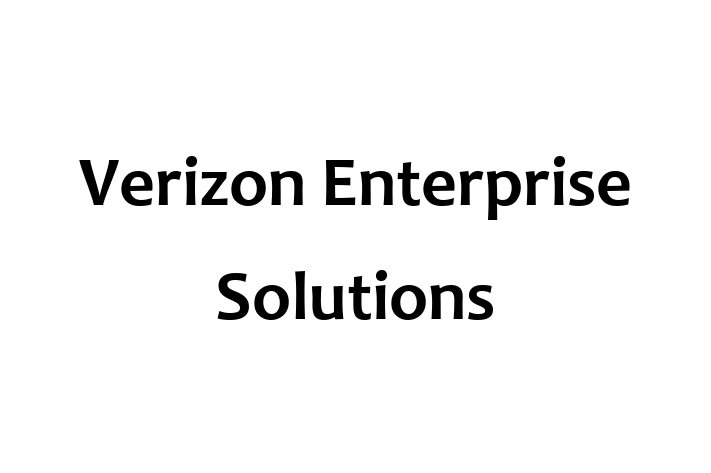 Application Development Company Verizon Enterprise Solutions